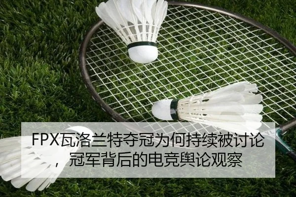 FPX瓦洛兰特夺冠为何持续被讨论，冠军背后的电竞舆论观察（leyu）